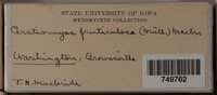 Image Associated With the Occurence